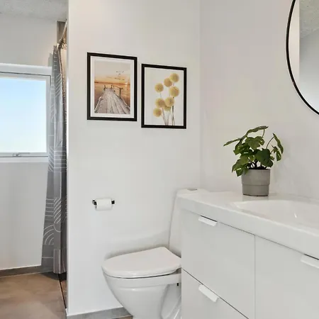Pet Friendly In With Wifi Holiday home Borkop